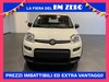 Fiat Panda 1.0 70cv Hybrid PANDA