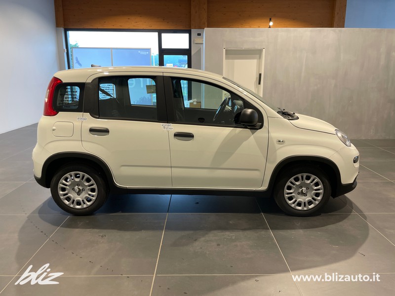 Fiat Panda 1.0 70cv Hybrid PANDA