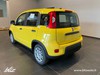 Fiat Panda 1.0 70cv Hybrid PANDA