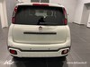 Fiat Panda pandina 1.0 firefly hybrid s&s 70cv