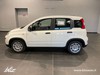 Fiat Panda Hybrid 1.0 70cv