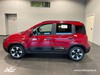 Fiat Panda pandina 1.0 firefly hybrid s&s 70cv