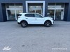 Citroen C3 Aircross 1.2 Turbo plus 100cv 7 p.t7