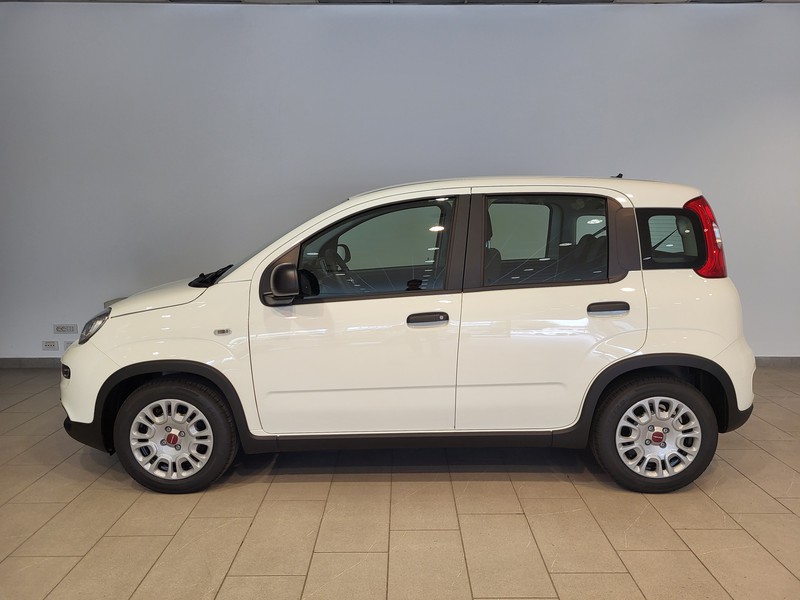 Antenna Fiat panda - Accessori Auto In vendita a Vicenza