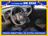 Fiat Panda My23 1.0 70cv Hybrid Panda
