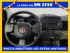 Fiat Panda My23 1.0 70cv Hybrid Panda