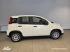 Fiat Panda My23 1.0 70cv Hybrid Panda