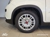 Fiat Panda My23 1.0 70cv Hybrid Panda