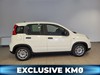 Fiat Panda 1.0 firefly hybrid s&s 70cv