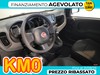 Fiat Panda 1.0 firefly hybrid s&s 70cv