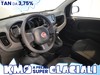 Fiat Panda 1.0 firefly hybrid s&s 70cv