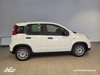 Fiat Panda 1.0 firefly hybrid s&s 70cv