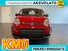 Fiat Panda 1.0 70cv Hybrid PANDA