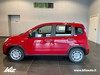 Fiat Panda 1.0 70cv Hybrid PANDA