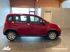 Fiat Panda 1.0 70cv Hybrid PANDA