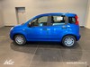 Fiat Panda 1.0 70cv Hybrid PANDA
