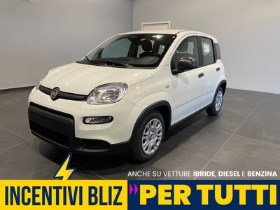 Fiat Panda 1.0 70cv Hybrid ICON