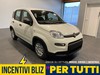 Fiat Panda 1.0 70cv Hybrid ICON