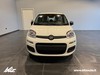 Fiat Panda 1.0 firefly hybrid pop s&s 70cv
