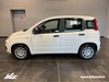 Fiat Panda 1.0 firefly hybrid pop s&s 70cv