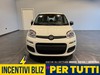 Fiat Panda 1.0 firefly hybrid pop s&s 70cv