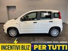 Fiat Panda 1.0 firefly hybrid pop s&s 70cv