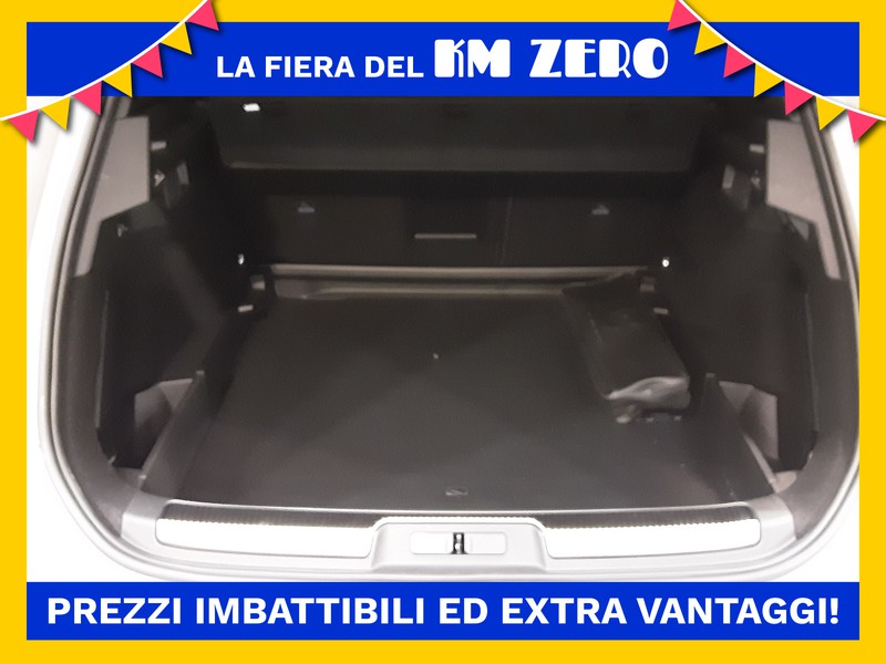 DS DS 7 Crossback 1.5 bluehdi performance line+ 130cv auto