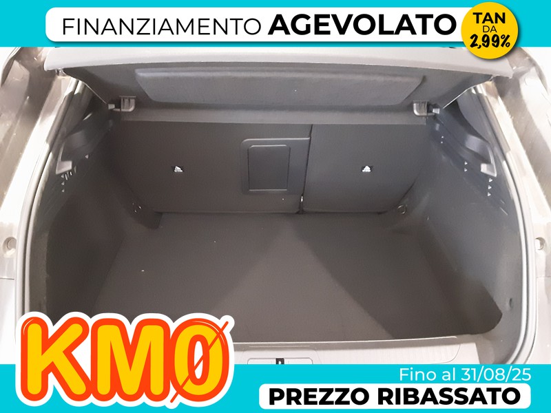DS DS 4 1.2 puretech cross trocadero 130cv auto