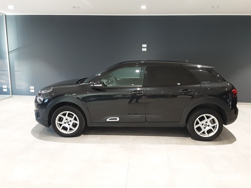 Citroen C4 Cactus cactus 1.5 bluehdi shine pack s&s 100cv