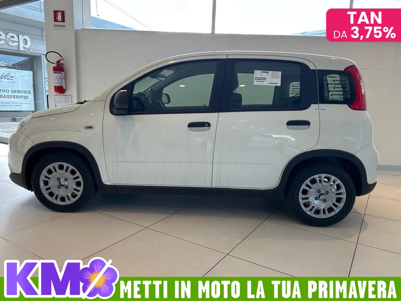 Fiat Panda 1.0 70cv Hybrid PANDA