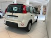 Fiat Panda 1.0 70cv Hybrid PANDA