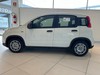 Fiat Panda 1.0 70cv Hybrid PANDA
