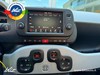 Fiat Panda 1.0 firefly hybrid City Cross s&s 70cv 5p.ti