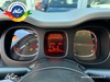 Fiat Panda 1.0 firefly hybrid City Cross s&s 70cv 5p.ti