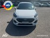 Ford Fiesta 5p 1.0 ecoboost h st-line x 125cv