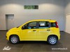 Fiat Panda Hybrid 1.0 70cv