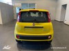 Fiat Panda Hybrid 1.0 70cv