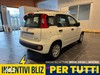 Fiat Panda 1.0 70cv Hybrid ICON
