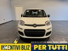Fiat Panda 1.0 70cv Hybrid ICON