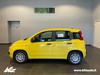 Fiat Pandina 1.0 firefly hybrid pop s&s 65cv