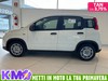 Fiat Panda 1.0 70cv Hybrid PANDA